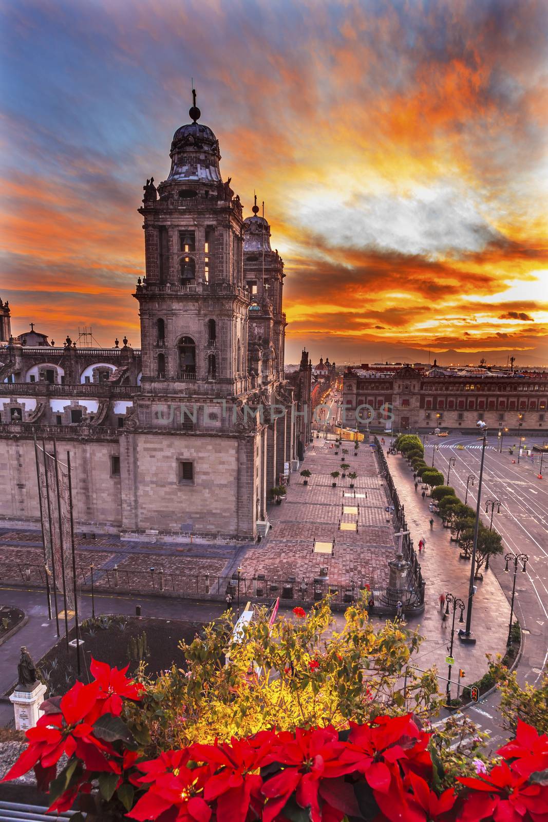 Metropolitan Cathedral Christmas Zocalo Mexico City Sunrise by bill_perry