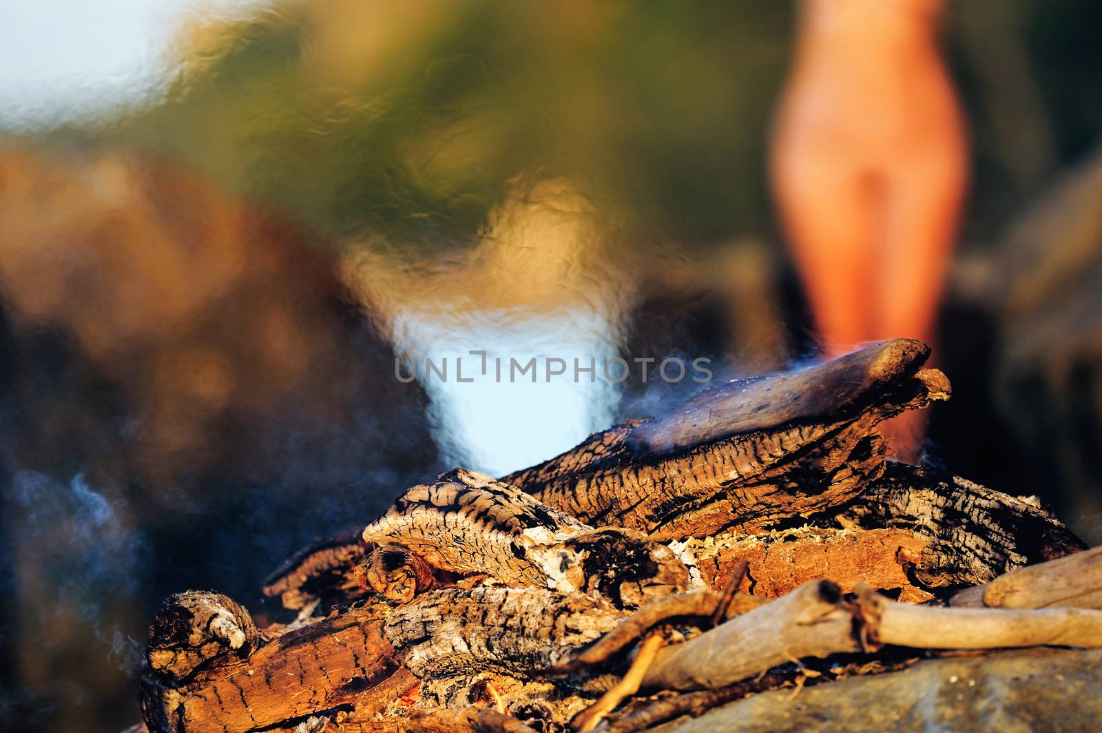 Nude woman on seashore near the bonfire