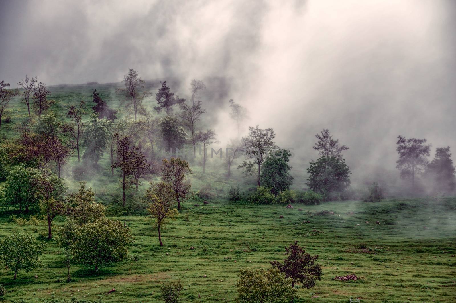 Dense fog crawling across green landscape of mountainous Karabakh