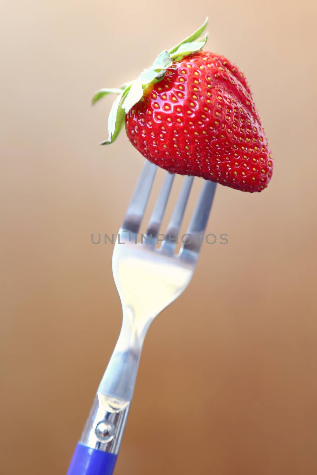 fresh ripe red strawberry on metallic fork