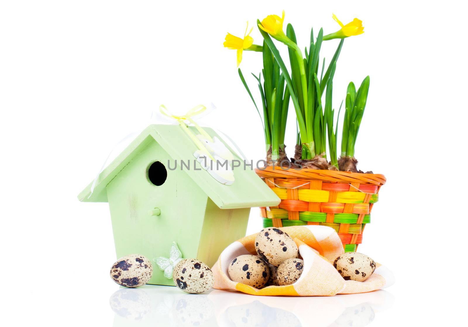 quail eggs with birdhouse, on a white background by motorolka