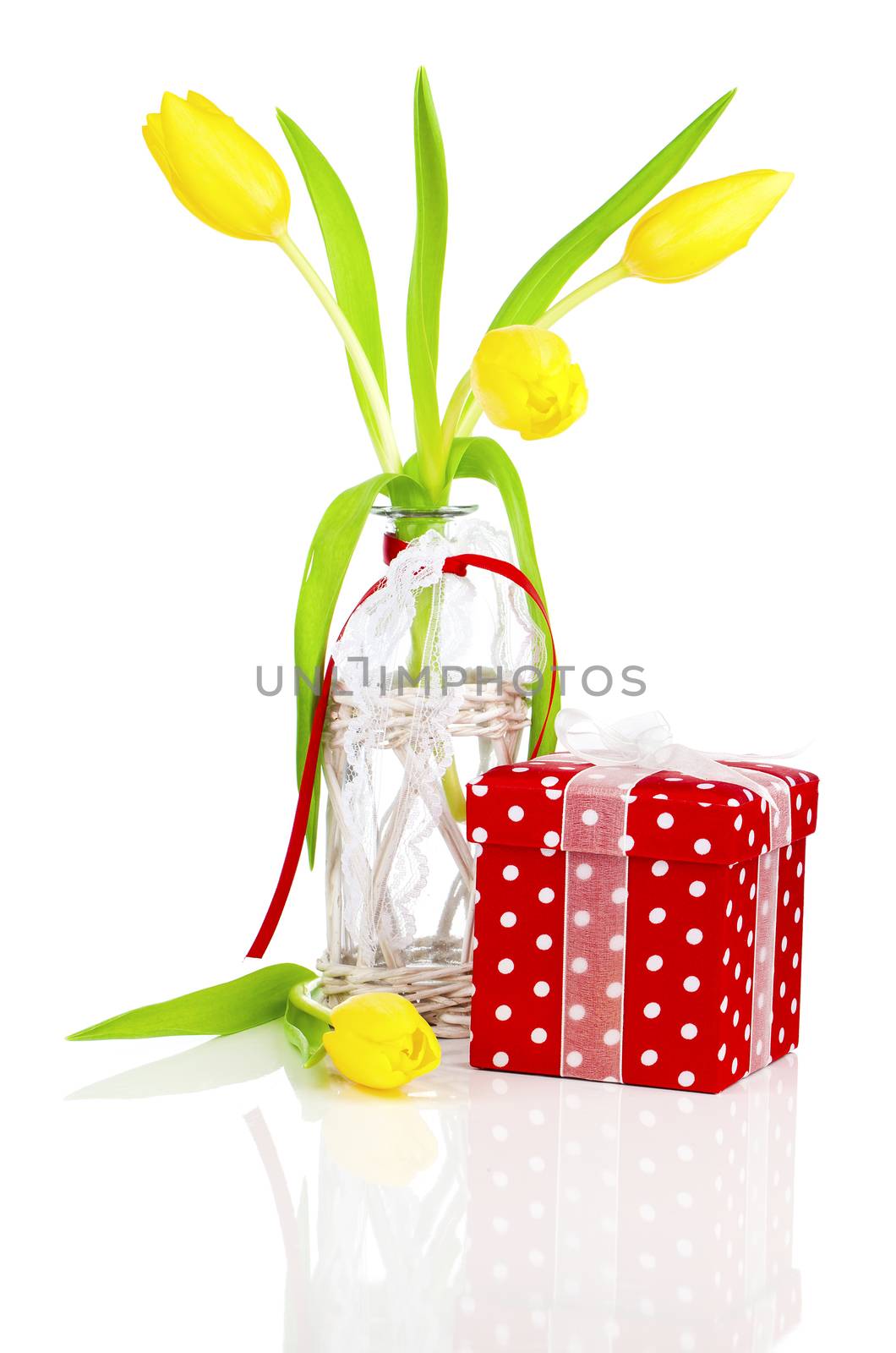 yellow spring tulips flowers with red gift box, isolated on whit by motorolka