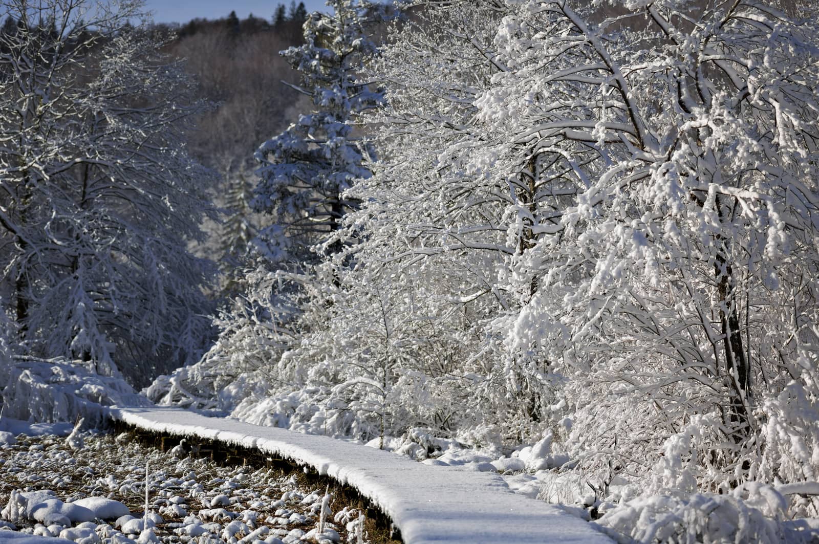 Forgotten Snowy Wooden Catwalk by jetstream4wd