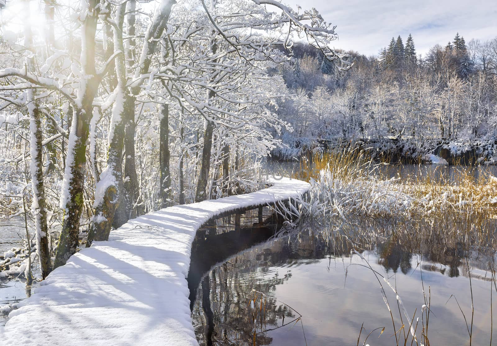 Snow-covered boardwalk over unfrozen lake with beautiful reflections in it against snowy winter forest.