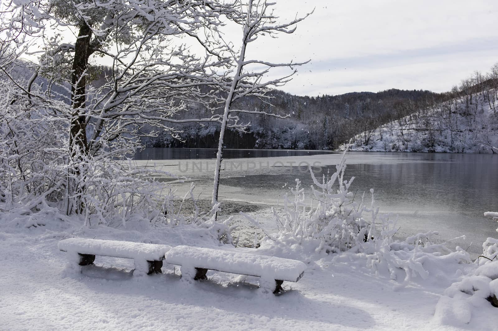 Two snowy benches near a winter lake. 
