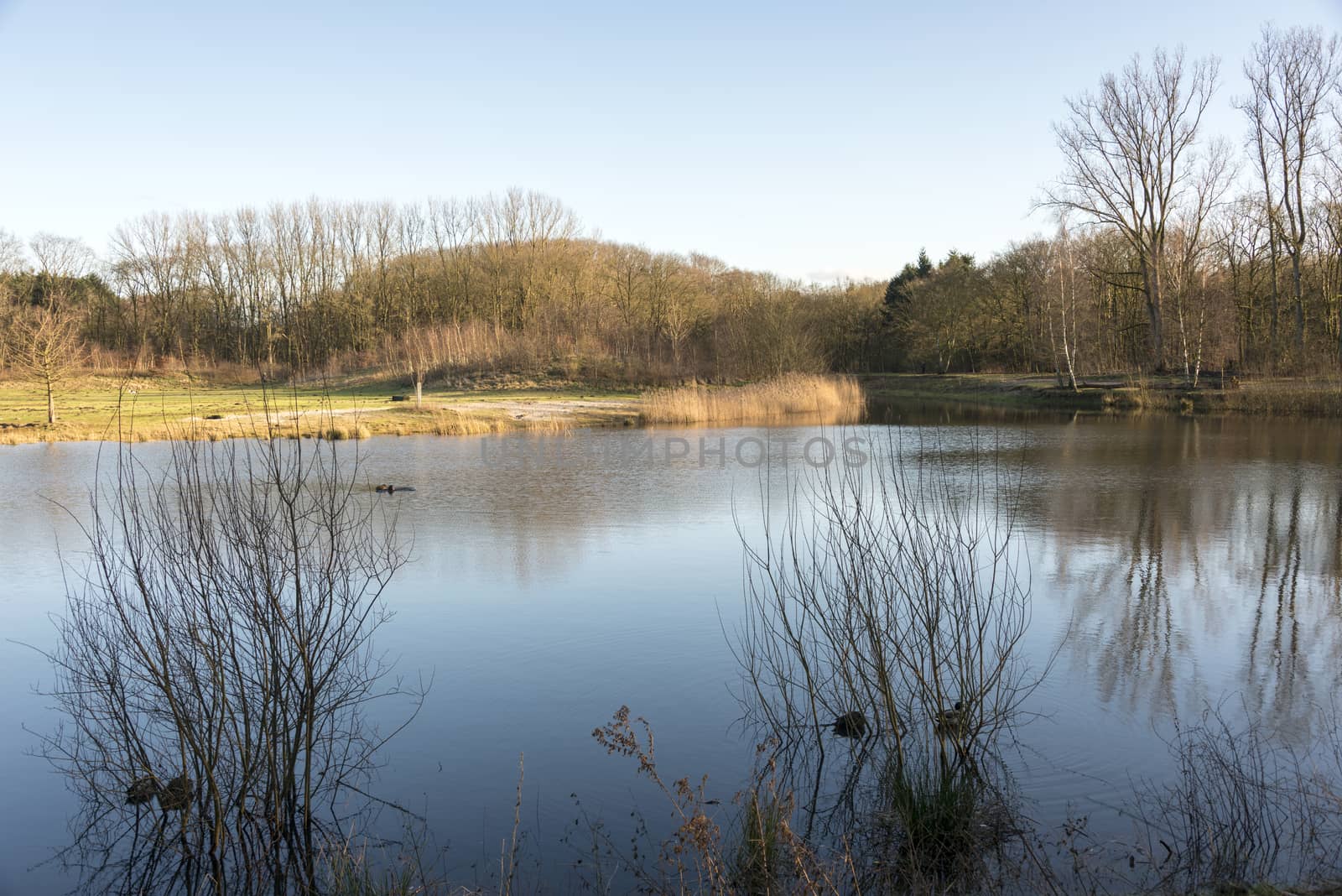 water lake with blue sky and nobody around in winter nature