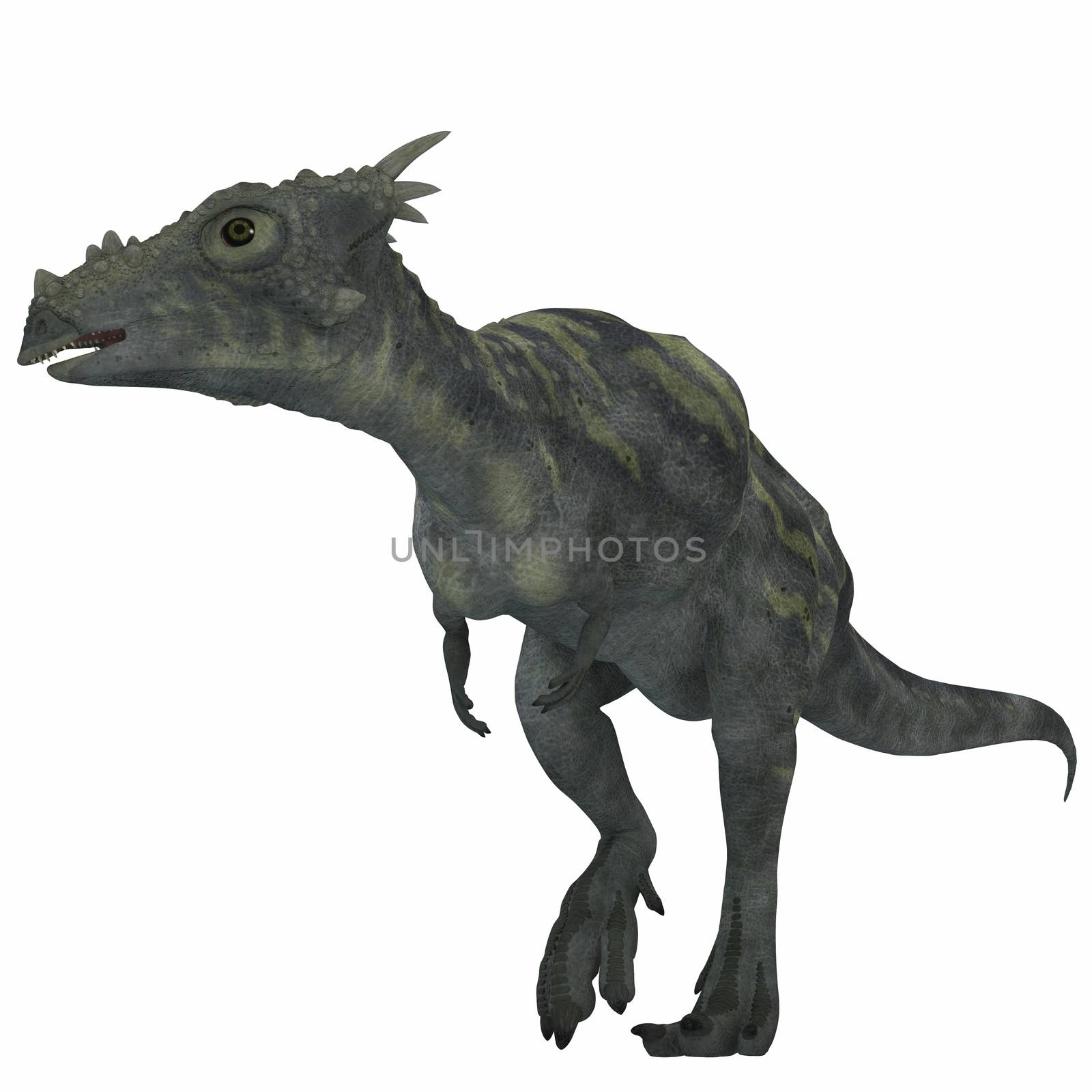 Dracorex was a herbivorous dinosaur and lived in the Cretaceous Period of North America.