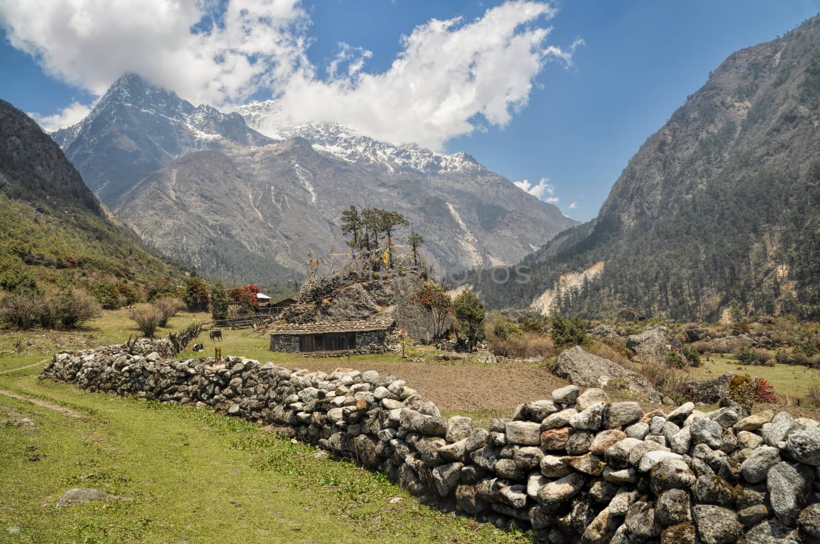 Picturesque view of Kangchenjunga rising above a house with a stone wall 