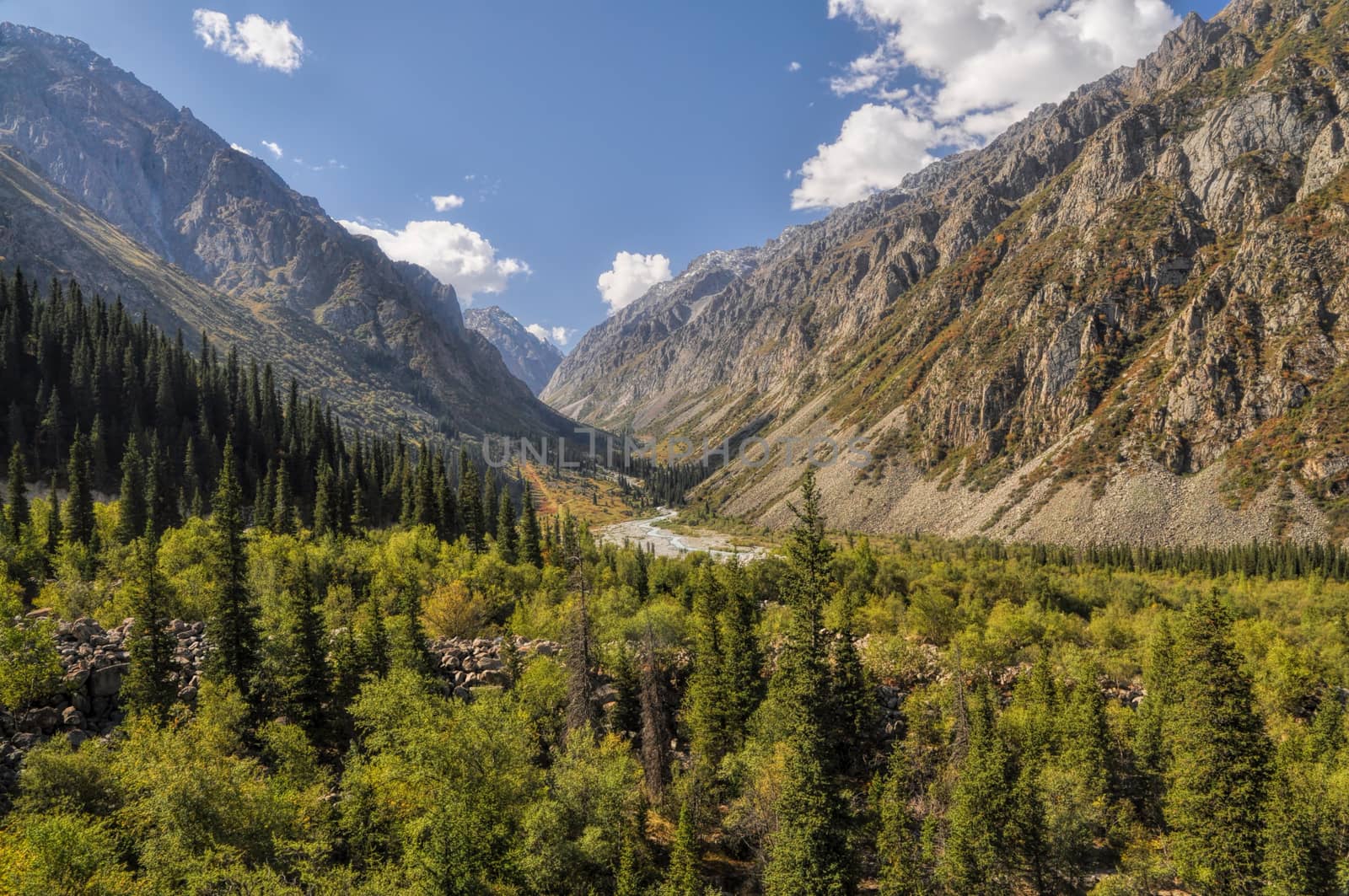 Scenic green valley in Ala Archa national park in Tian Shan mountain range in Kyrgyzstan