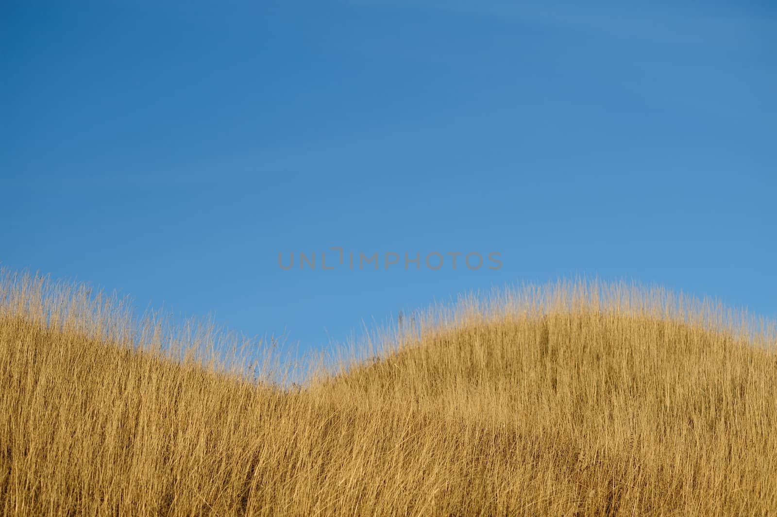 Autumn hills and blue sky with space horizontal