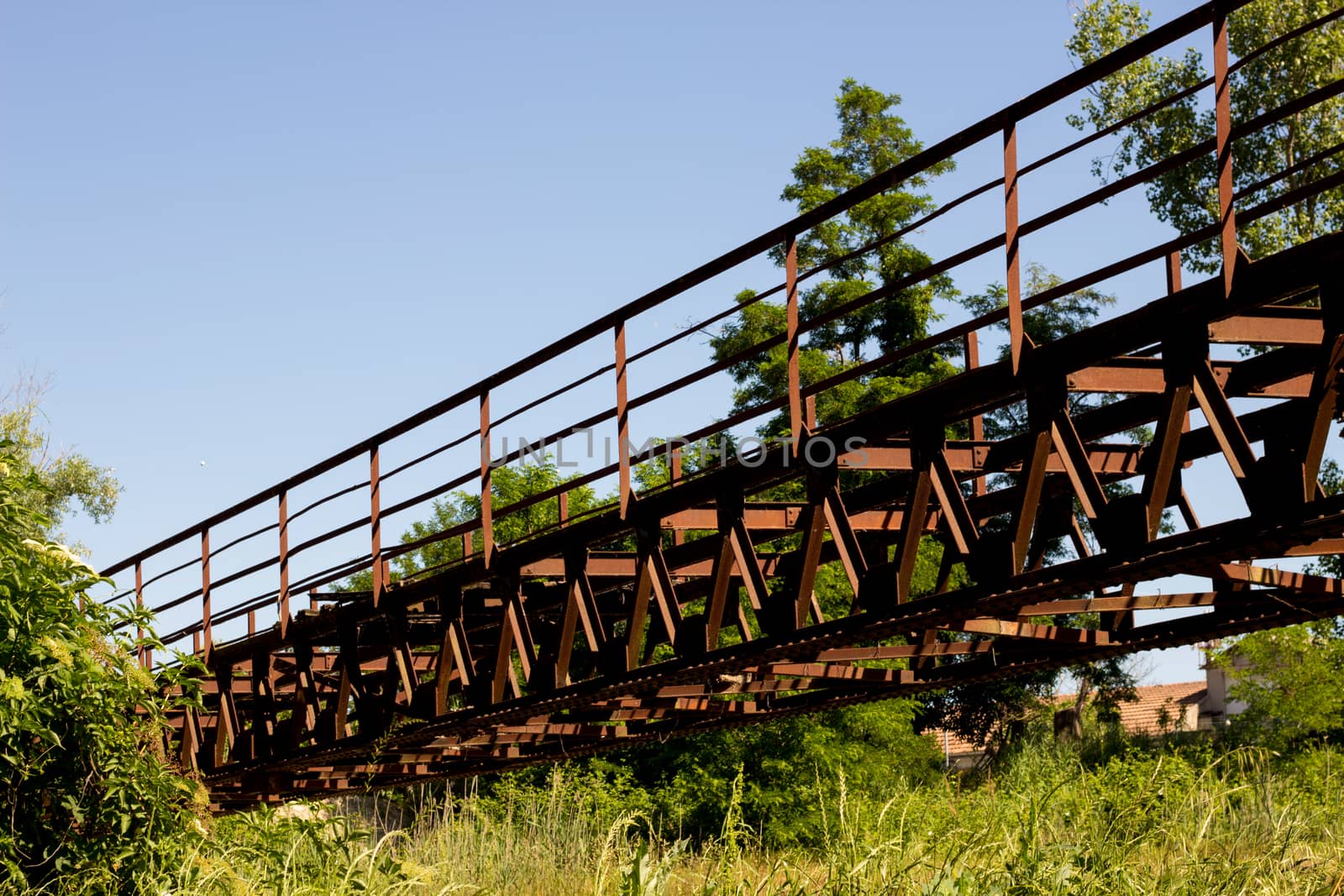 Horizontal image of bridge in the forest