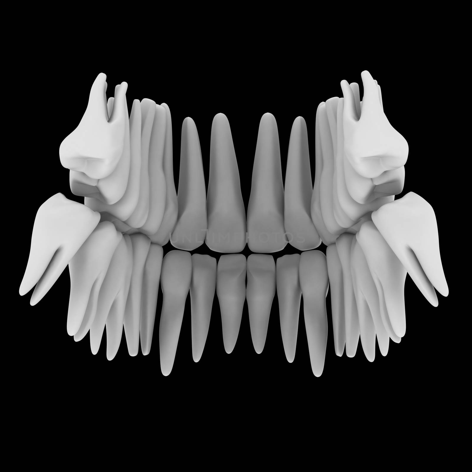 3d image of white teeth isolated on black - back view