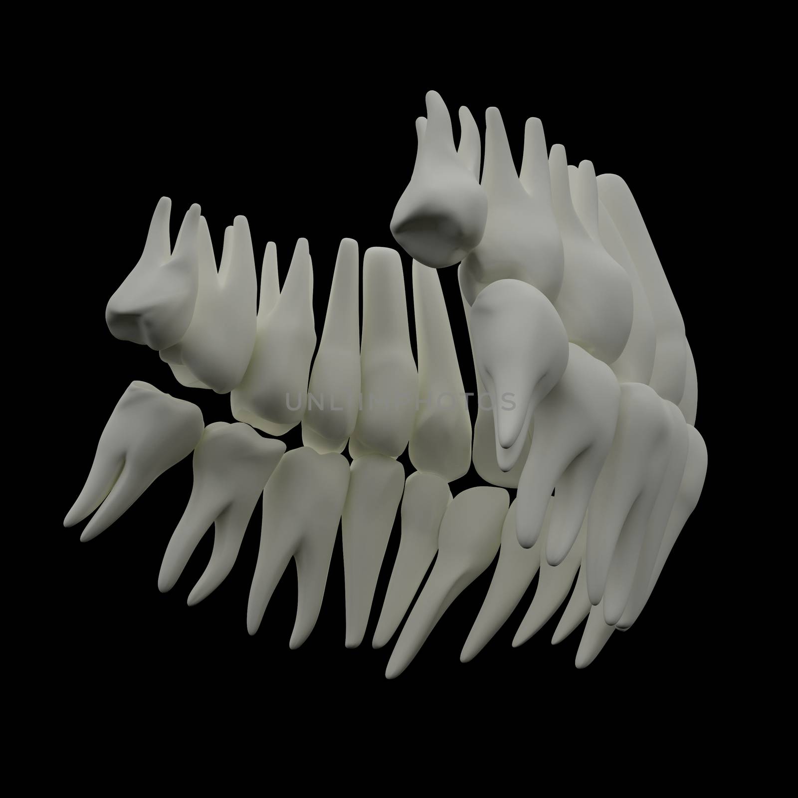 3d image of white teeth isolated on black - bottom view