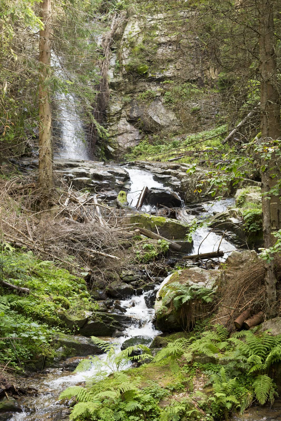 Waterfall Saint Spirit and Spring in Rhodopes Mountain, Bulgaria