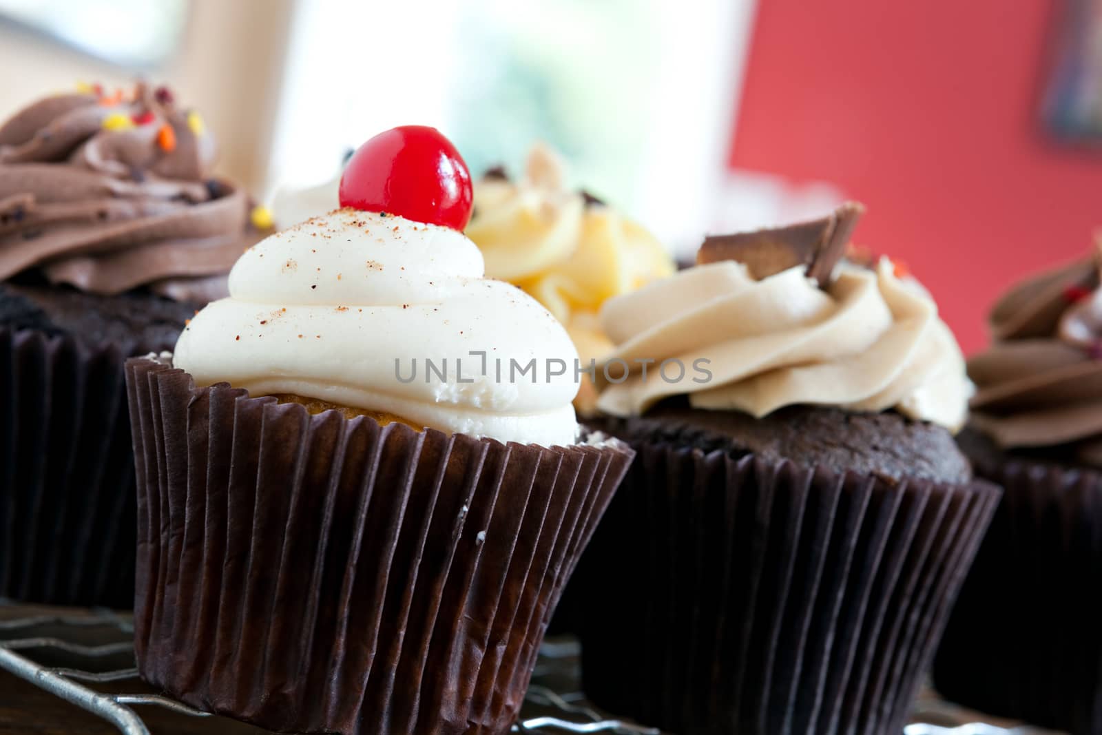 Decadent gourmet cupcakes frosted with a variety of flavors. Shallow depth of field.