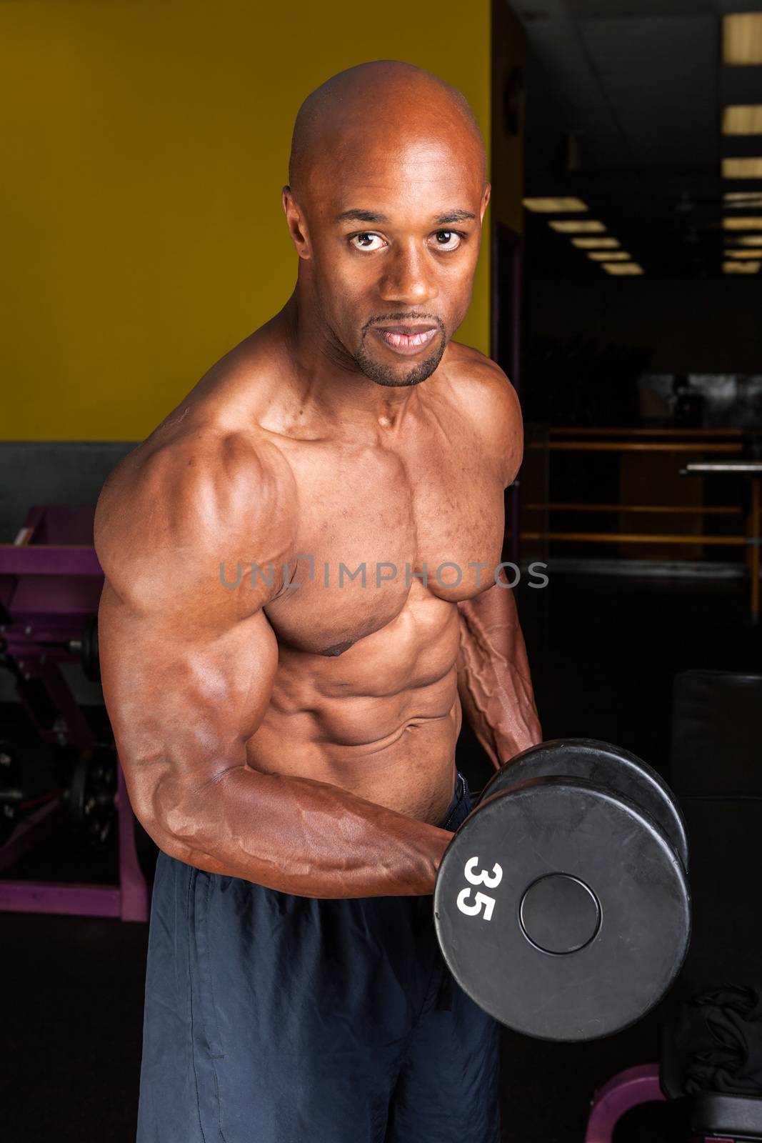 Toned and ripped lean muscle fitness man lifting weights on a curling bar.