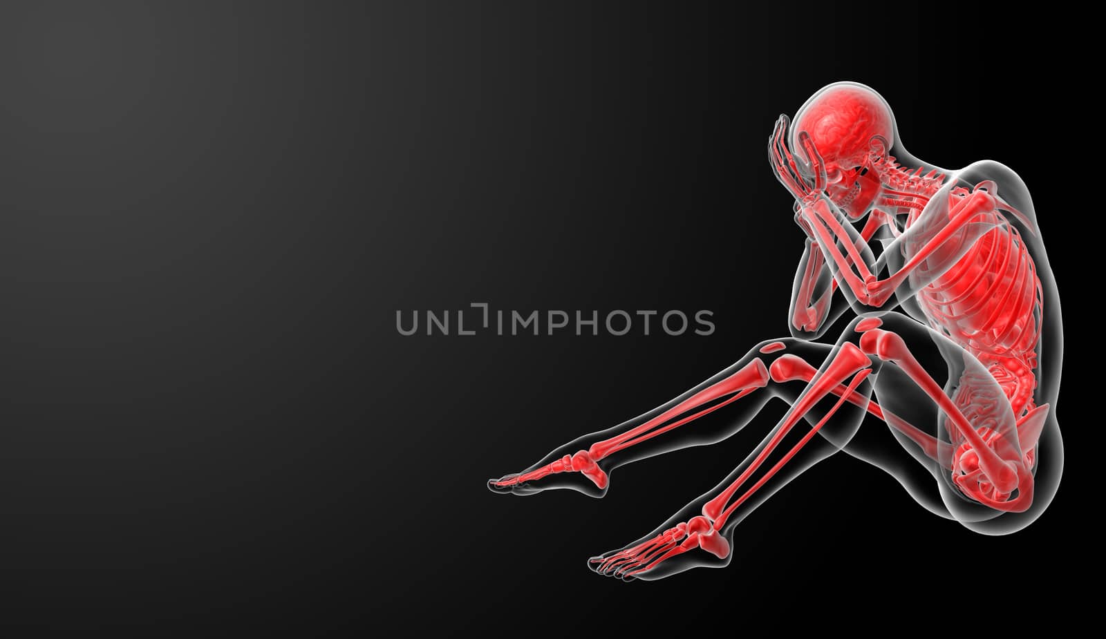 3d render Human antomy - side view