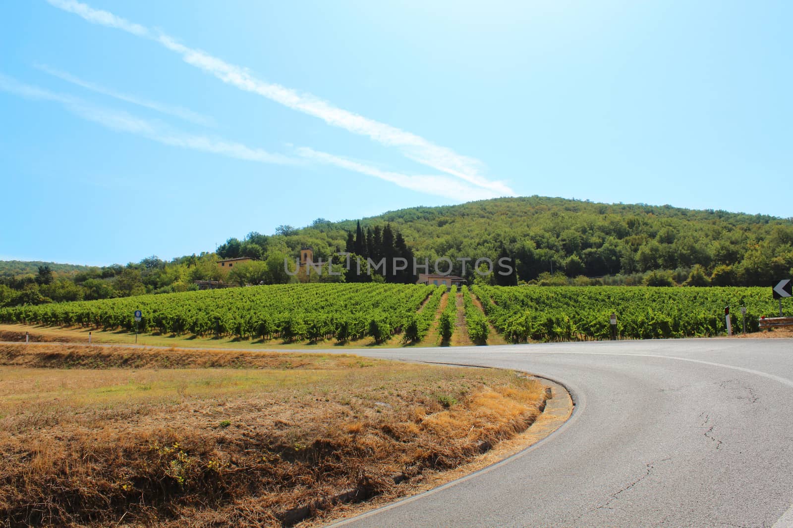 On the road of Chianti 