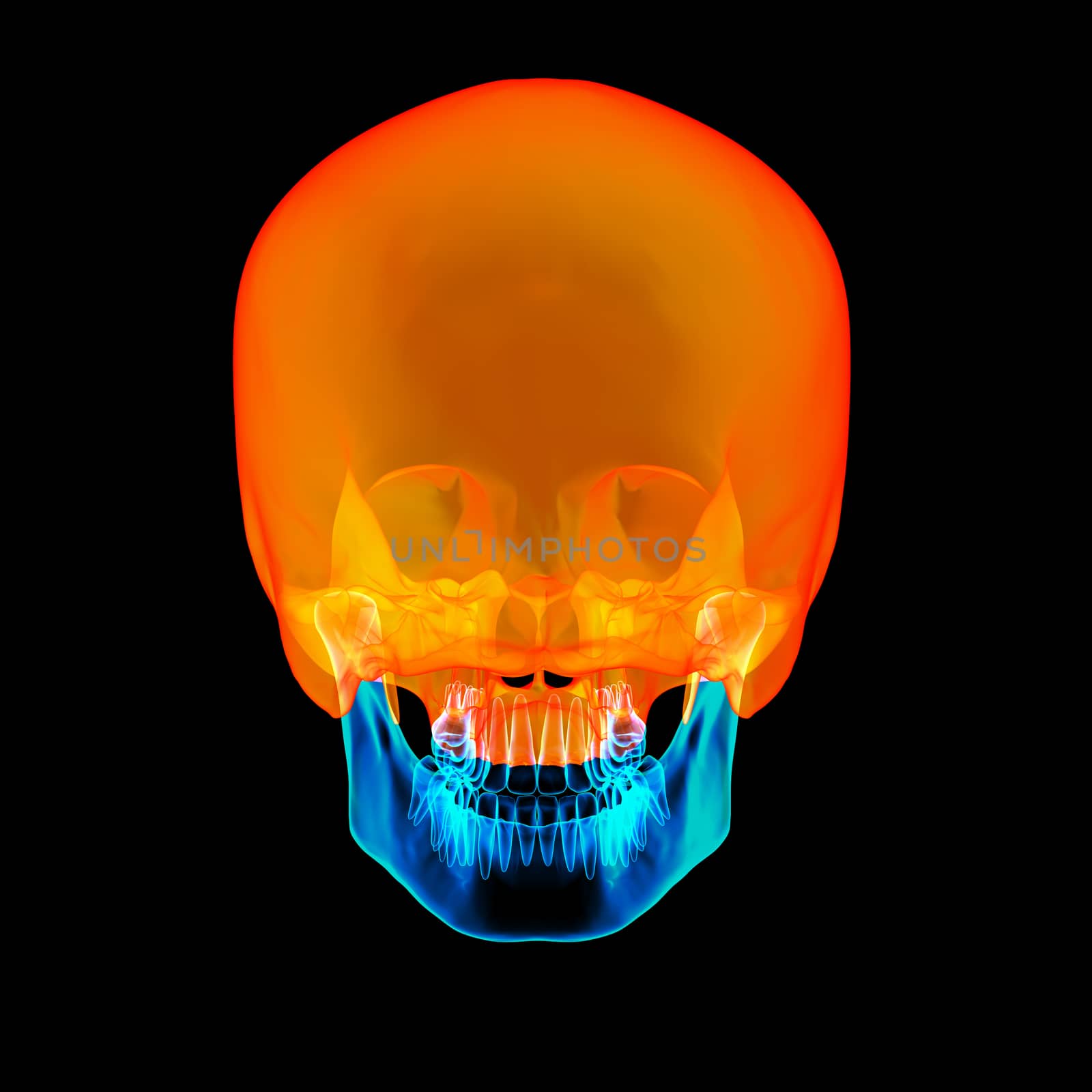 human Skull. Upper half. with black background - back view