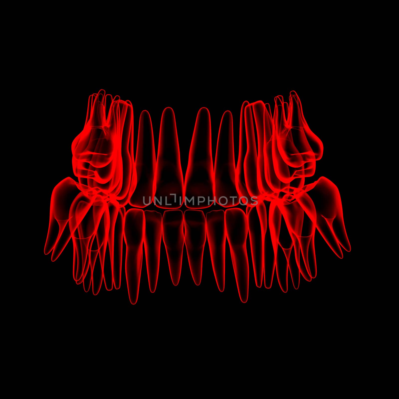 3d human red teeth - back view