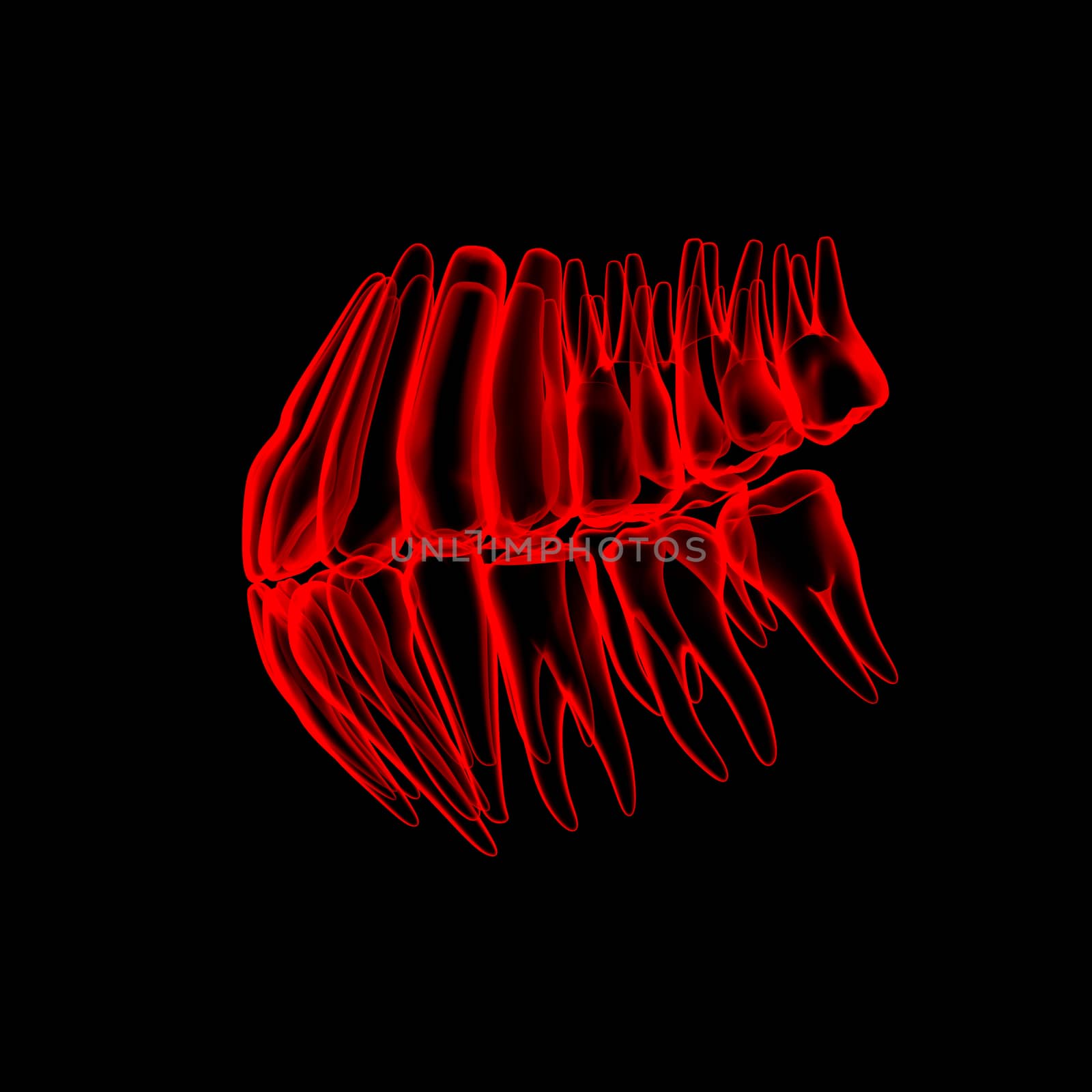 3d human red teeth - side view