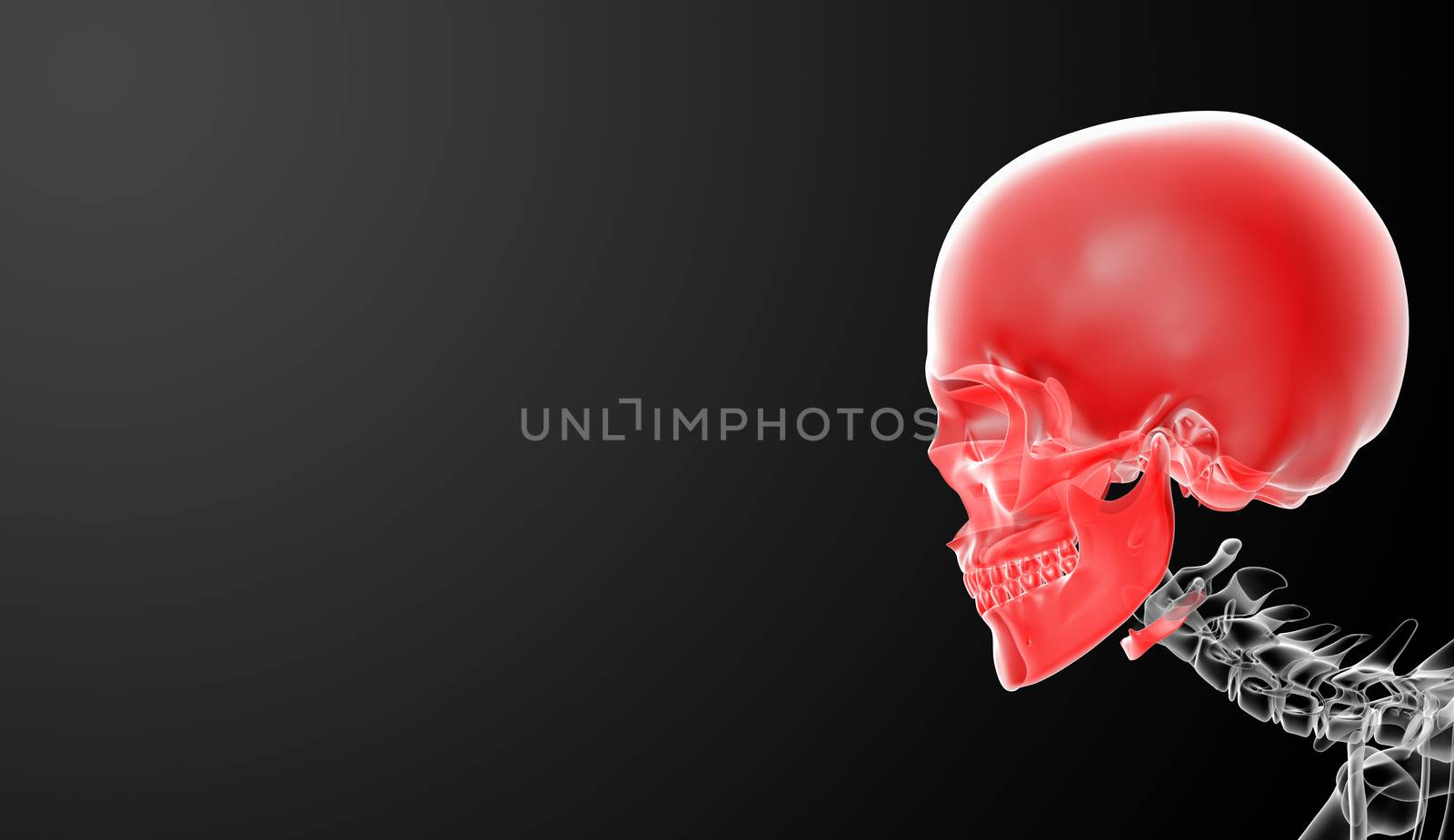 3d render skull on black background - side view by maya2008