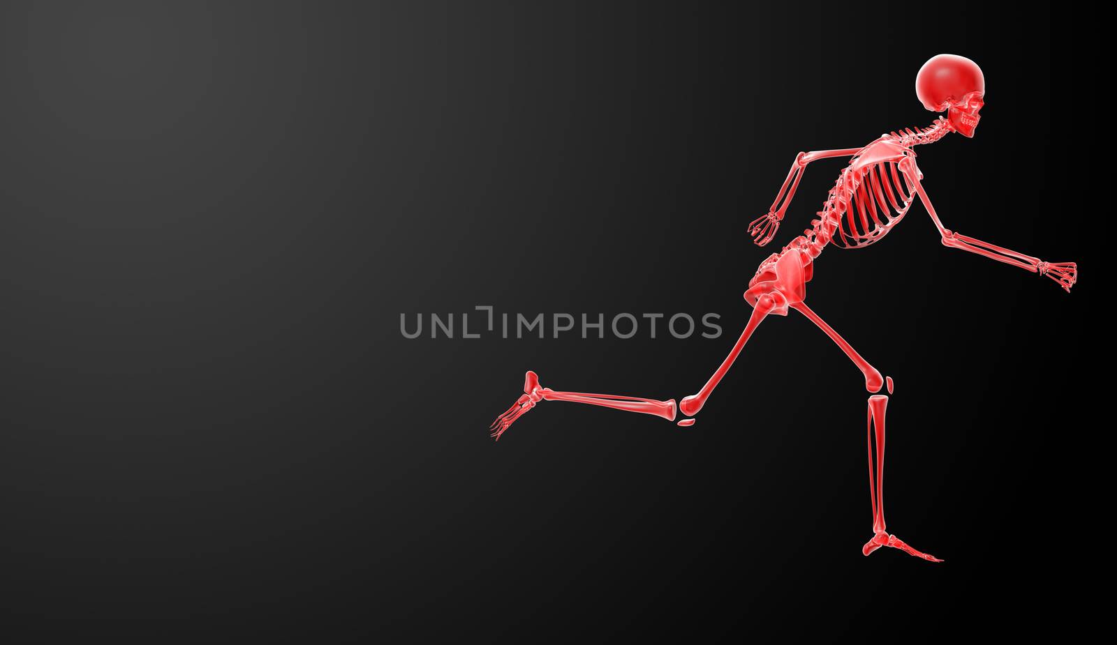 Running skeleton by X-rays in red - side view