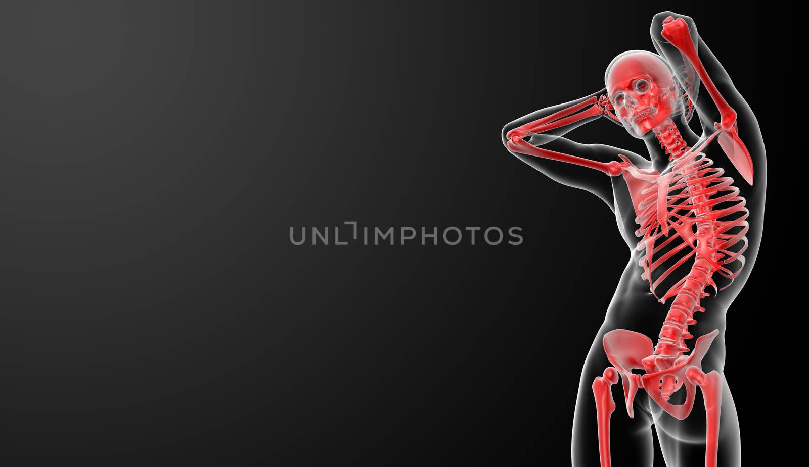 3d rendered red skeleton - bottom view