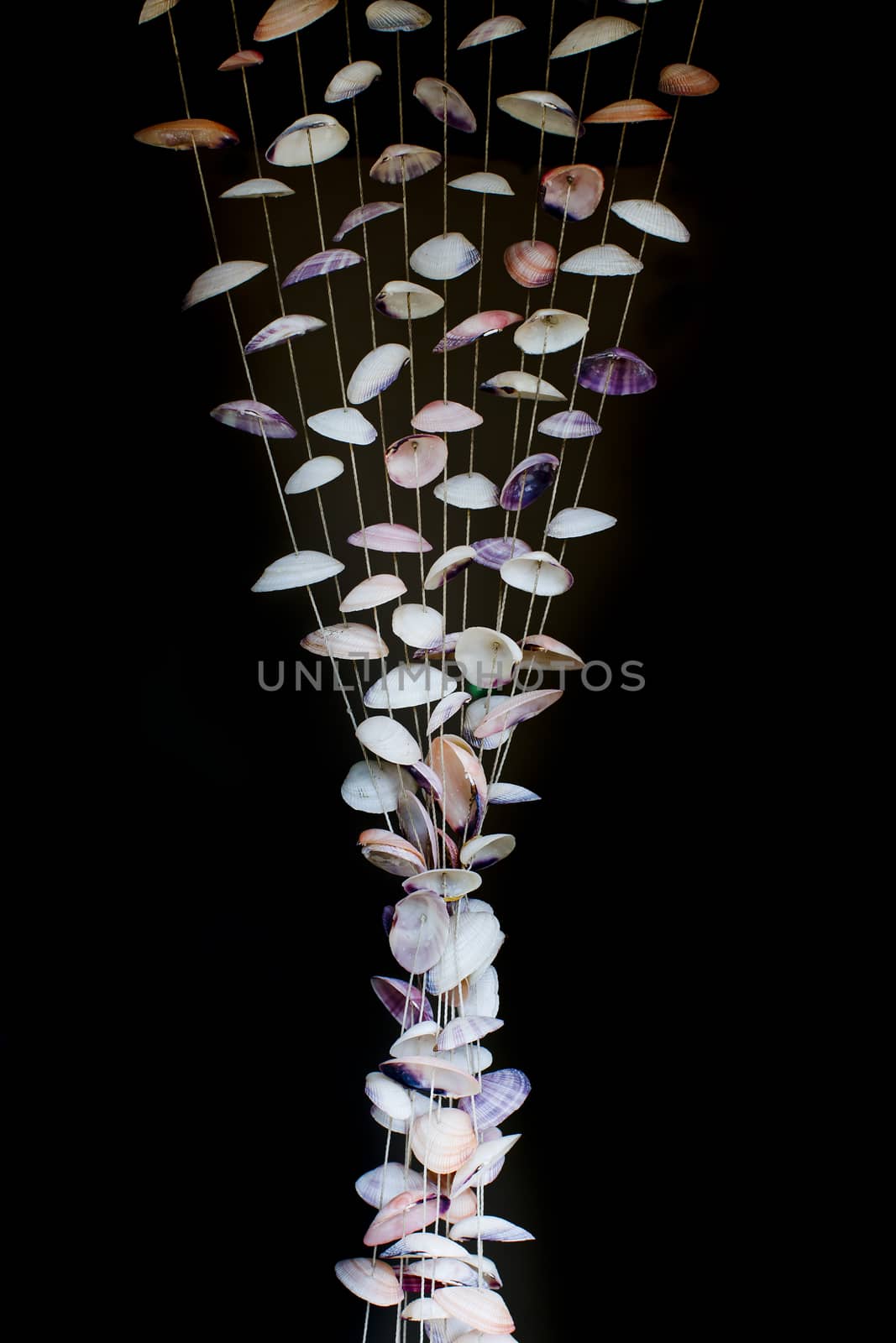 Seashells on thread background on tropical resort