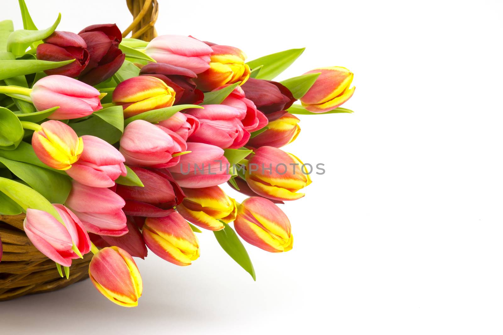 colourful tulips in a basket