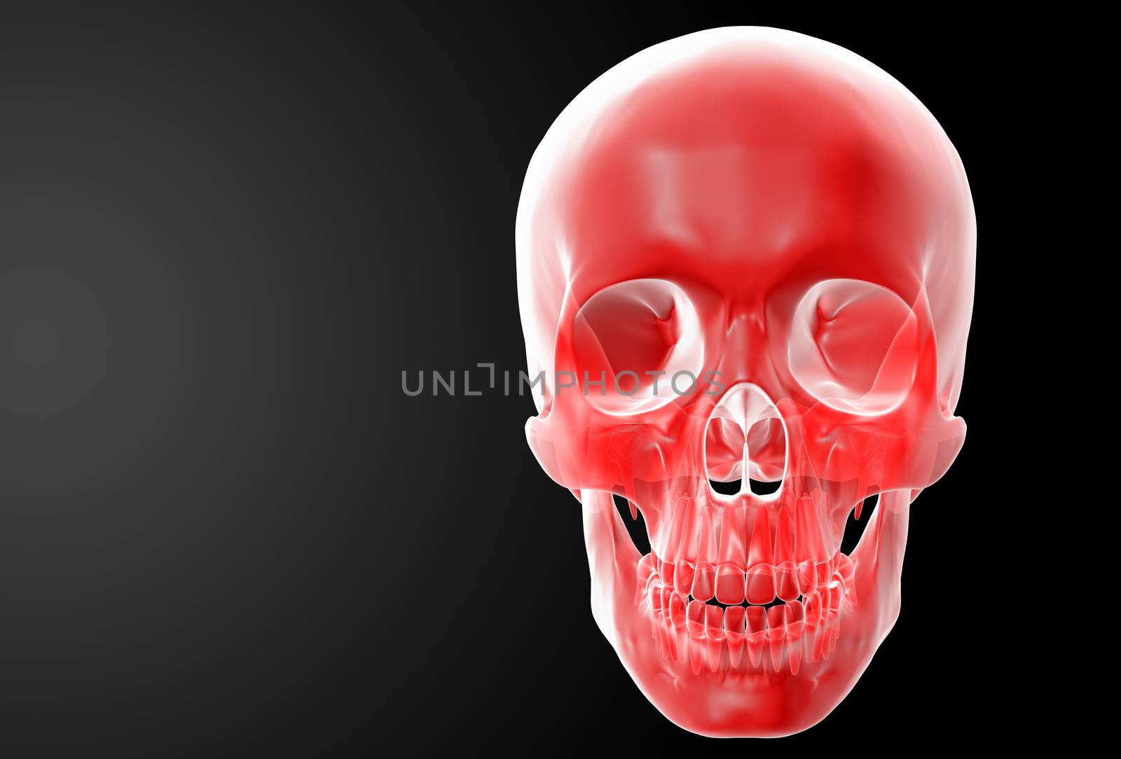3d render red skull on black background - front view