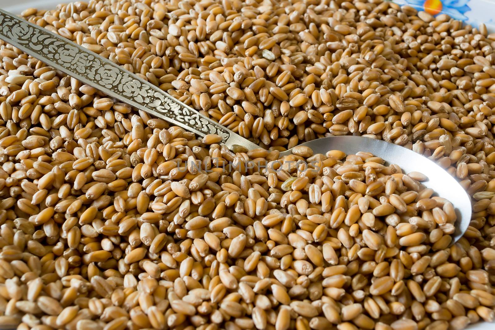 Photo of pearl barley with premium metal spoon
