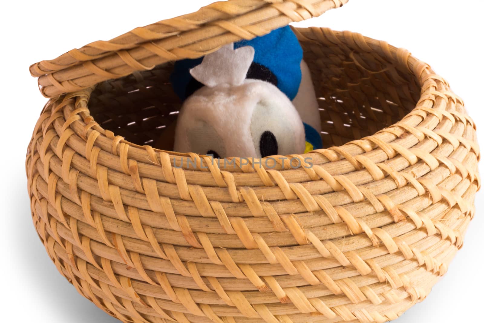 a nice duck hidden in the basket