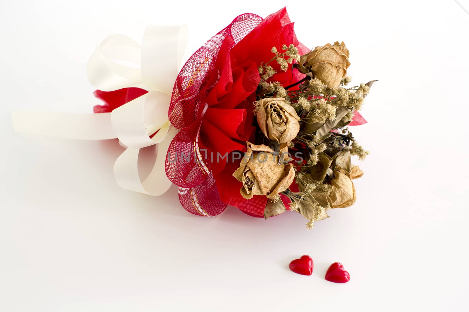 isolated dried rose on white background by art9858
