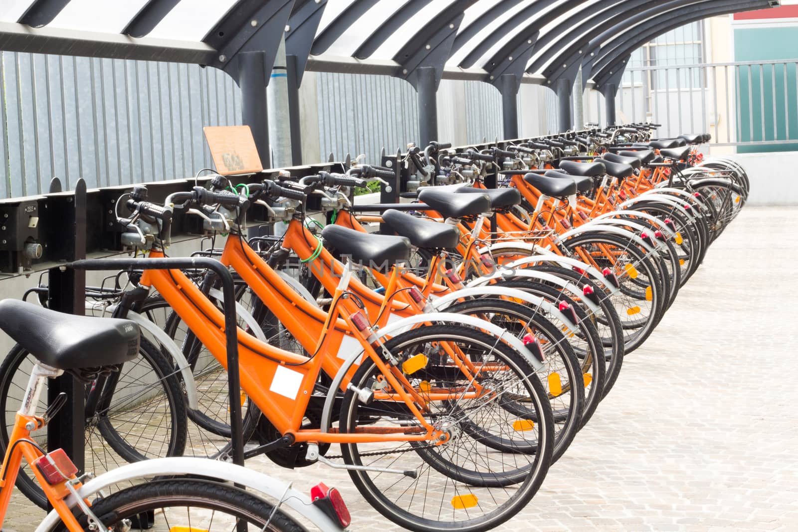 Group of orange bikes still in storage by Carbonas