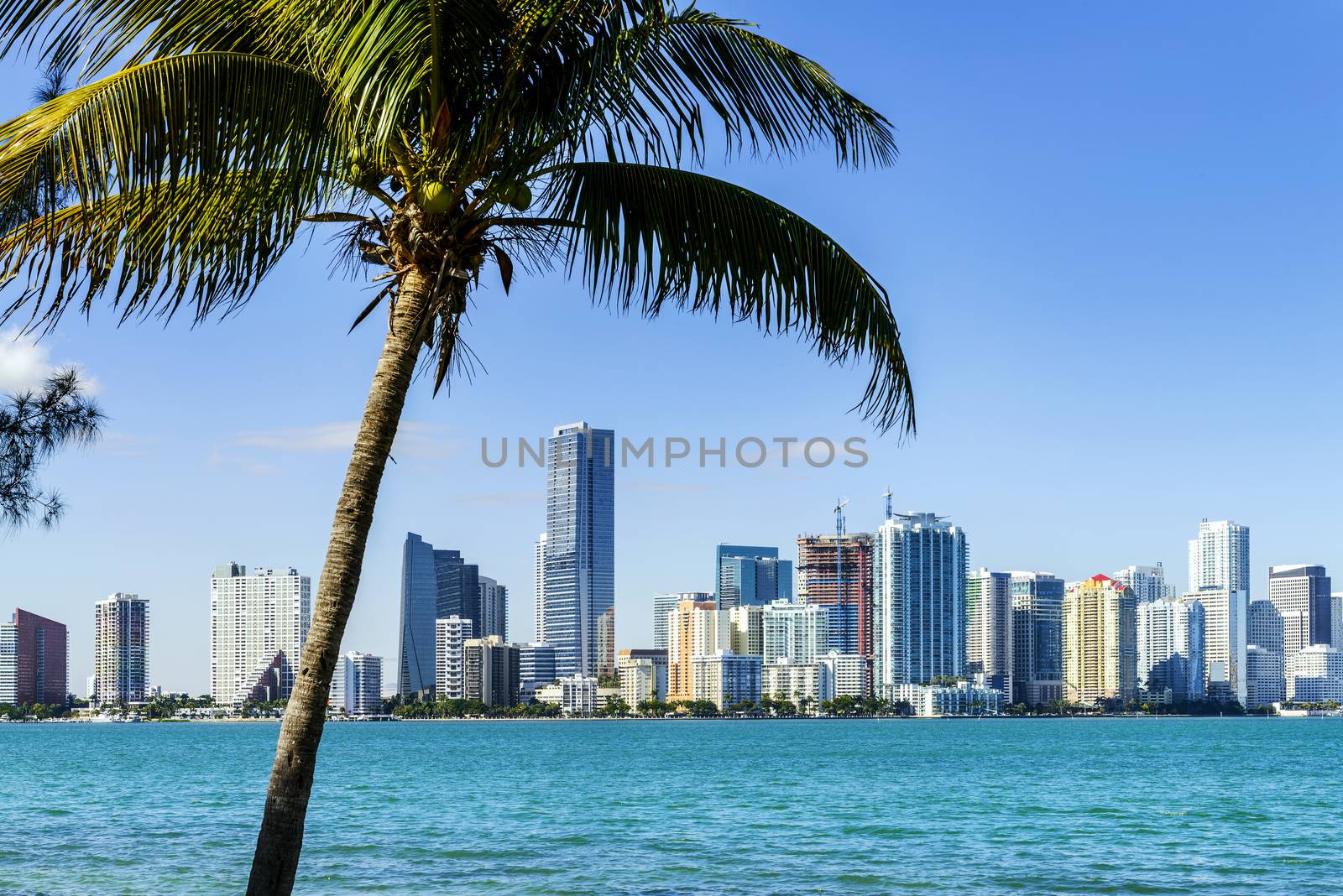 Miami Downtown skyline in daytime with Biscayne Bay.