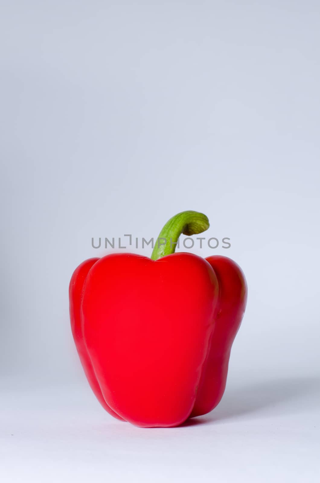 red pepper by sarkao