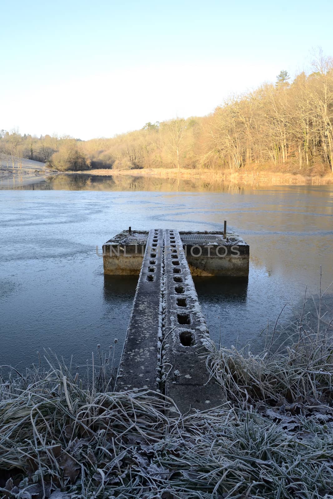 pond in a winter morning, France