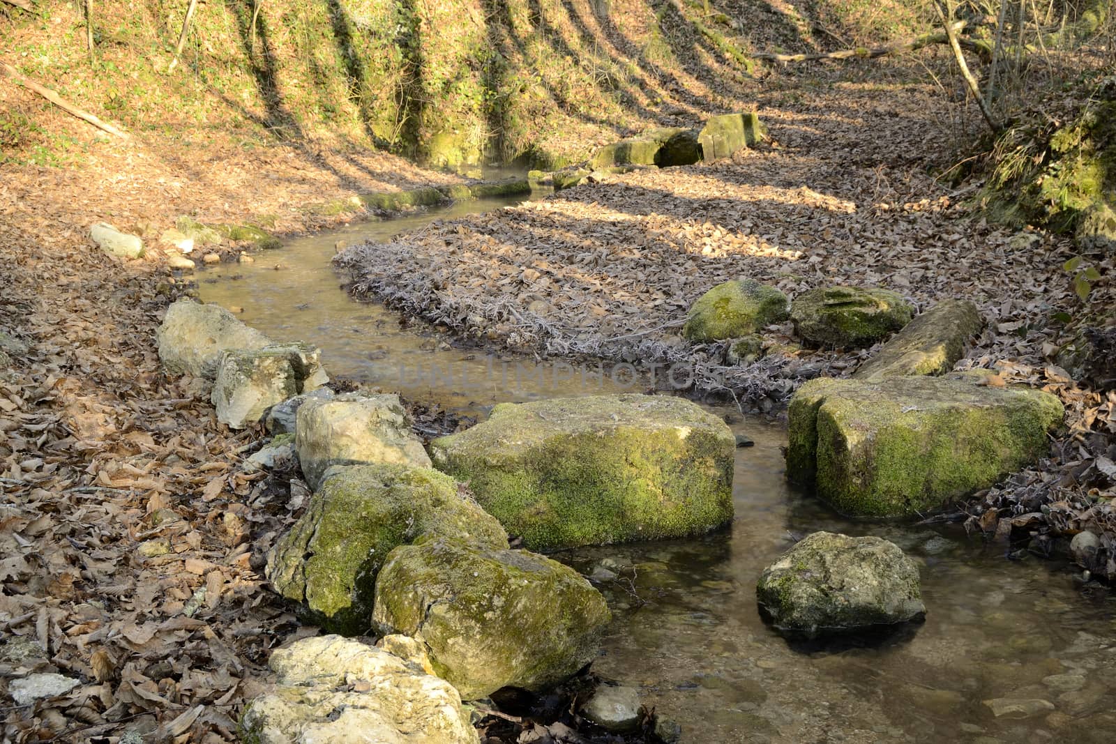 little rivulet and stones by ncuisinier