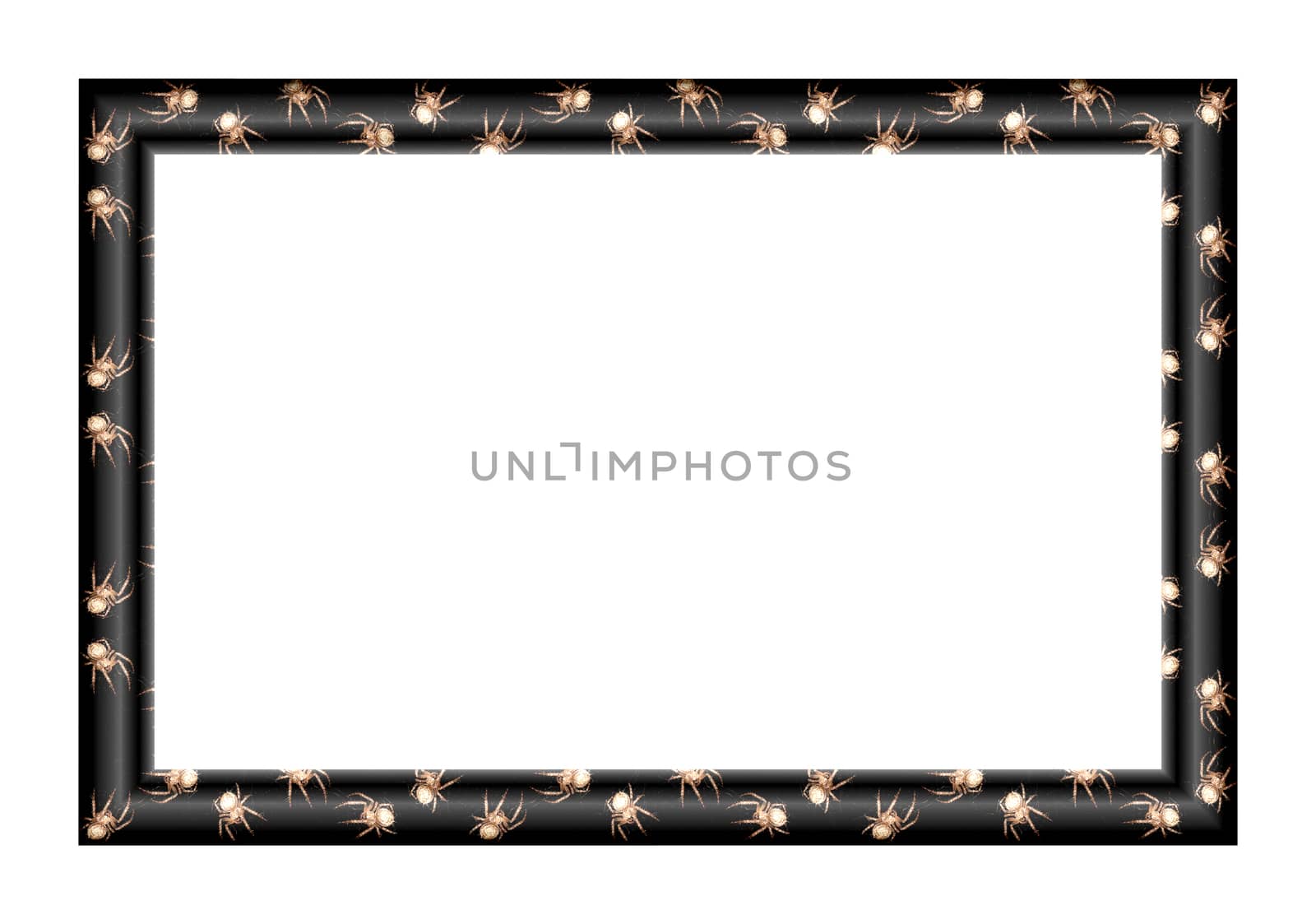 Rectangular blank frame for pictures and paintings of small spiders on black background