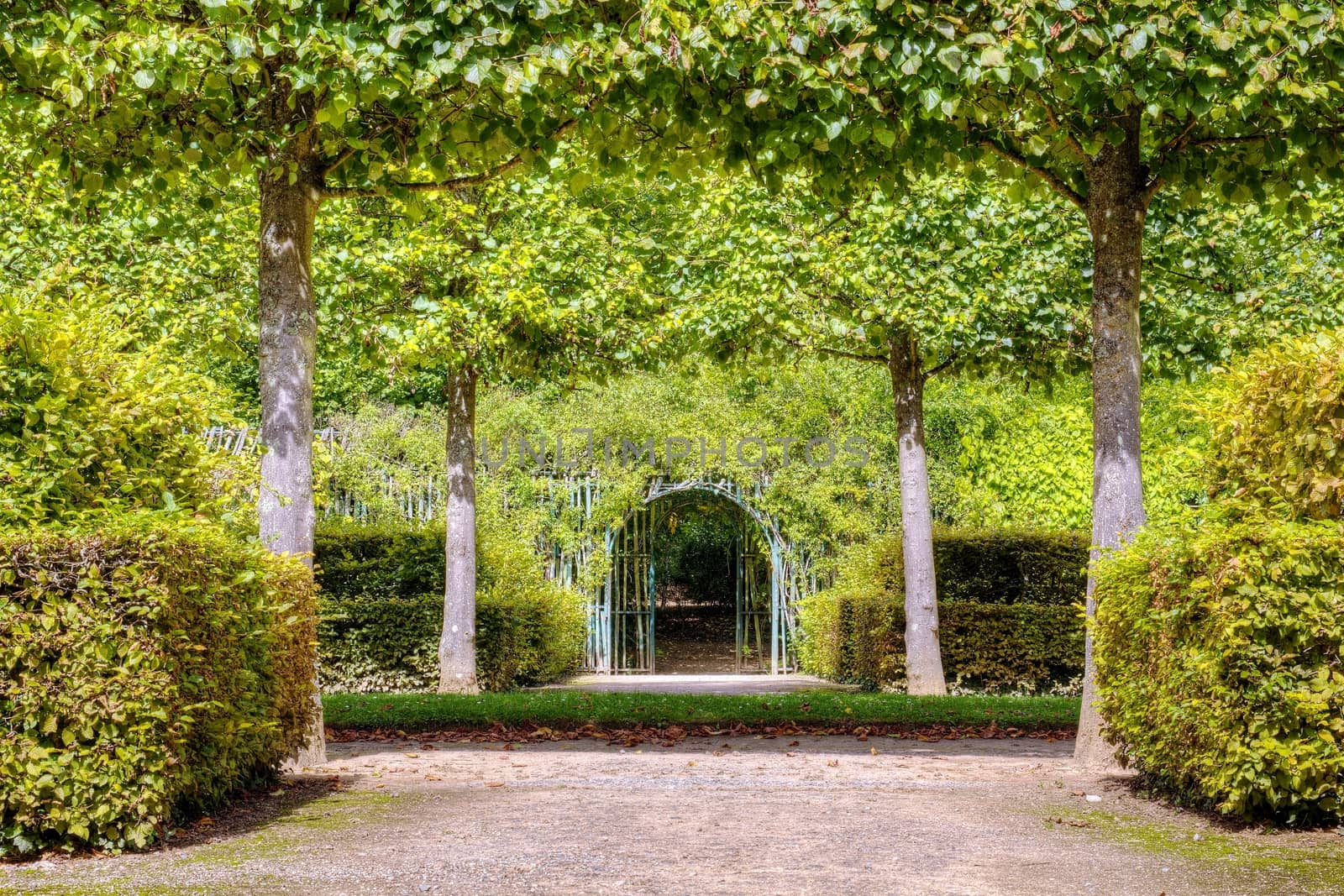 French green garden by Dermot68