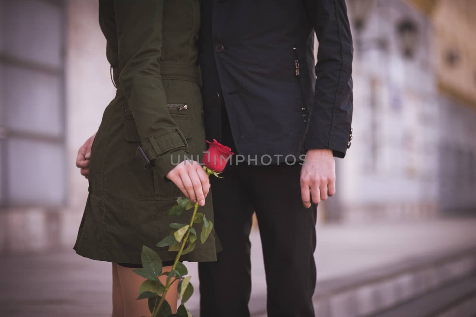 couple in love  holding hands togetherwith red rose  no face 