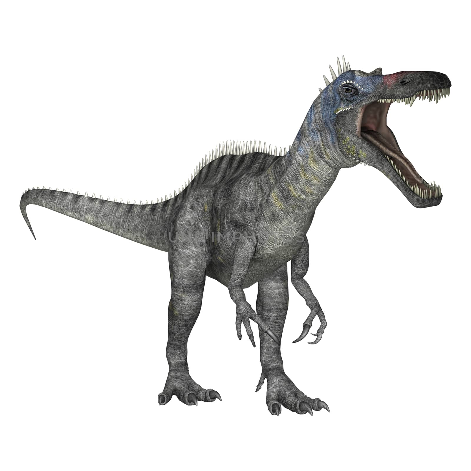 3D digital render of a dinosaur Suchomimus or Suchomimus tenerensis isolated on white background