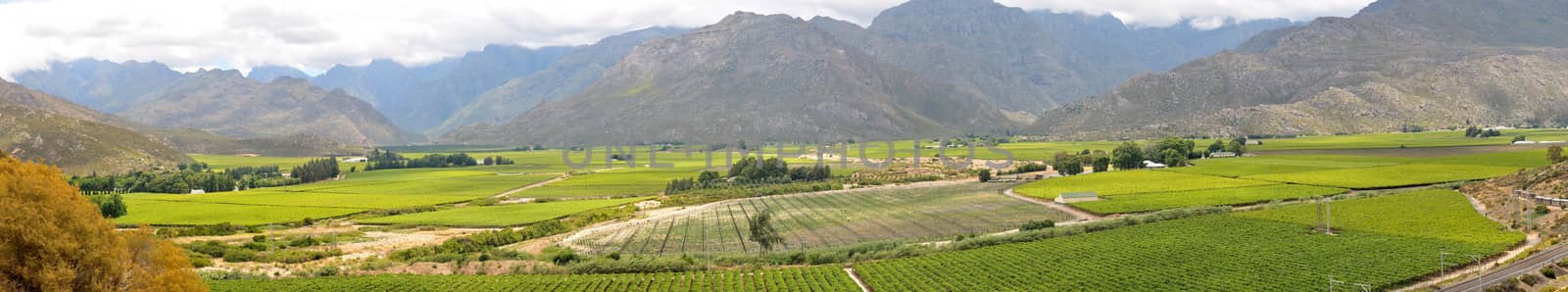 Panoramic view to the west from the N1 road to the mountains of the Hex River Valley in the Western Cape Province of South Africa
