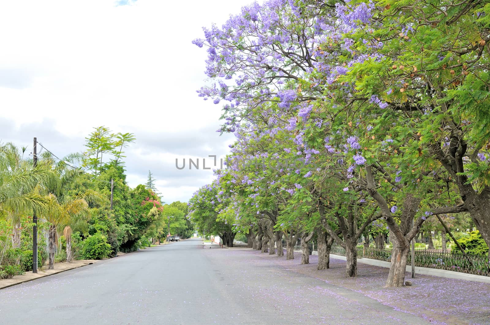 Street view of Rawsonville in the Western Cape Province of South Africa
