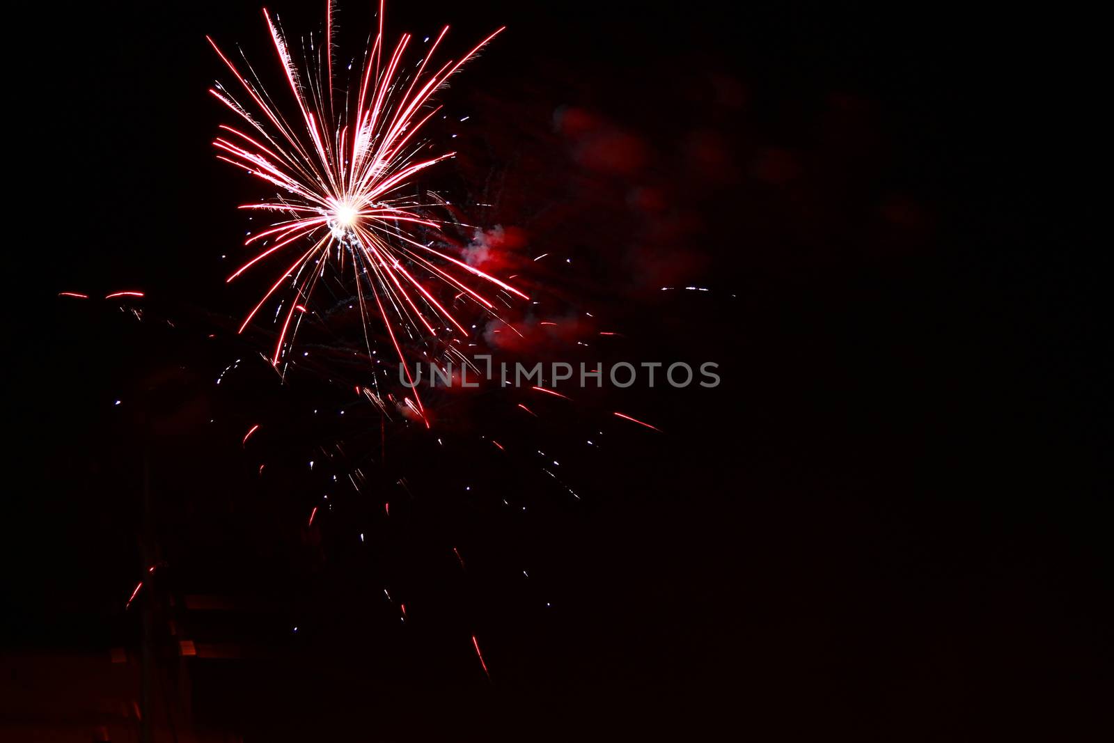 Celebration firework in the black night sky