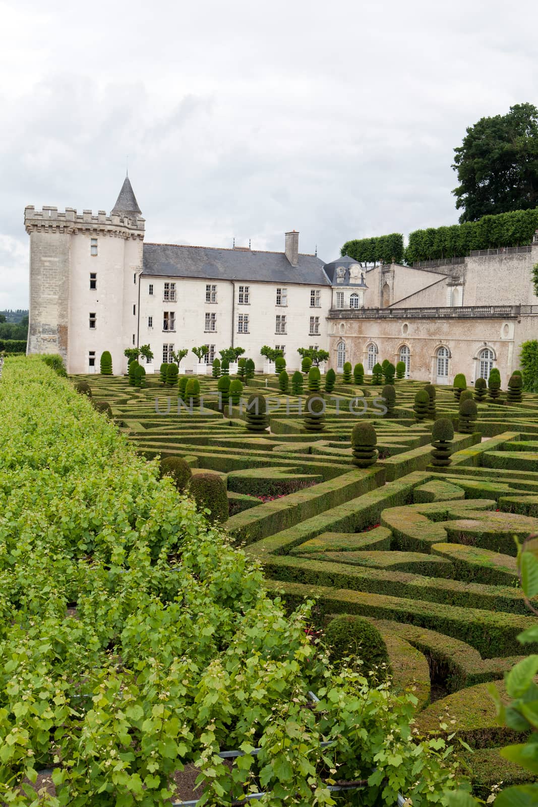 Gardens and Chateau de Villandry  in  Loire Valley in France 