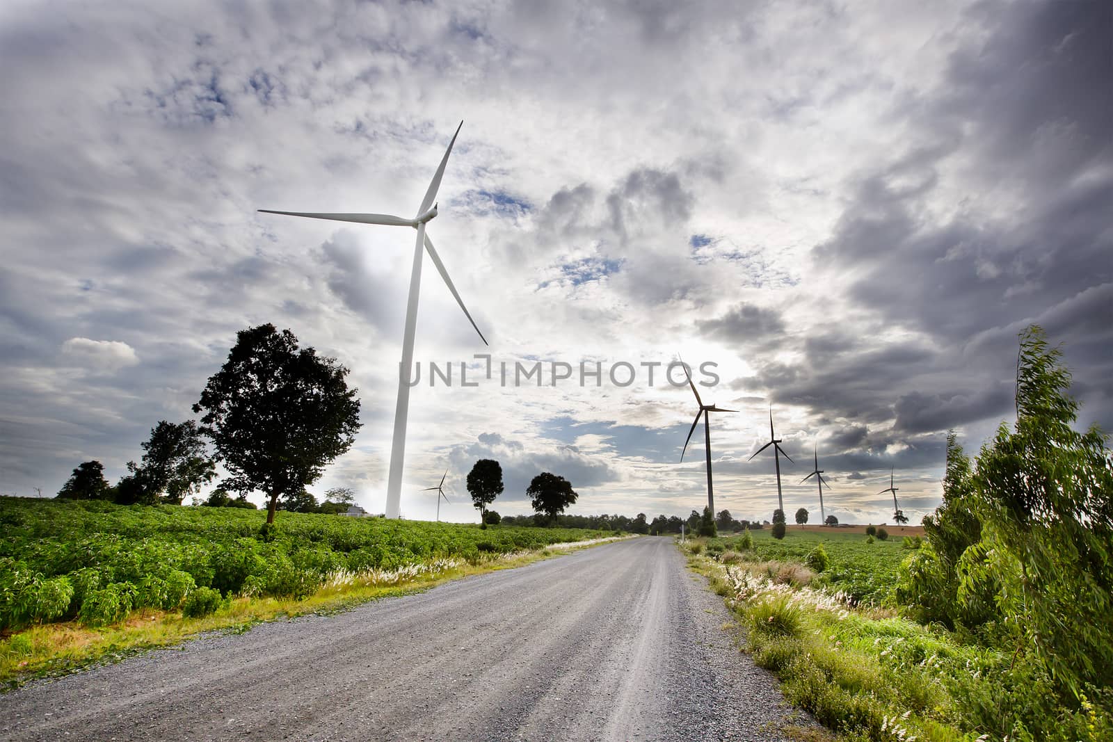 Wind turbines, pure energy,windmills in the fields in Thailand