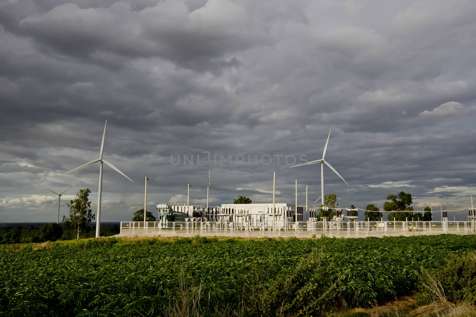 Wind turbines, pure energy,windmills in the fields in Thailand