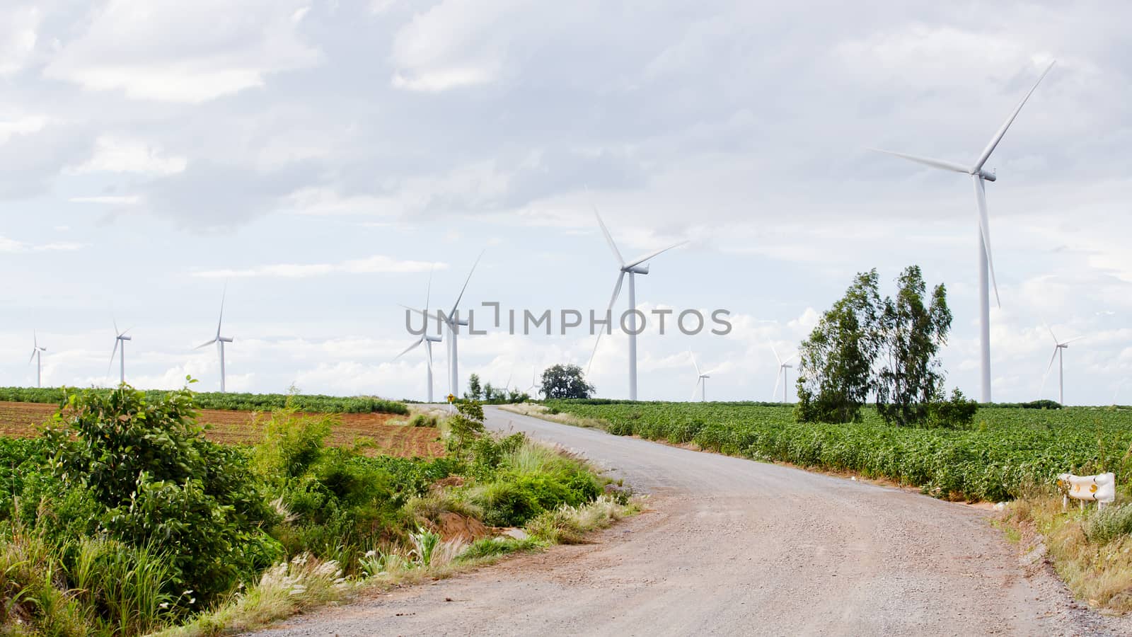 Wind turbines, pure energy,windmills in the fields in Thailand